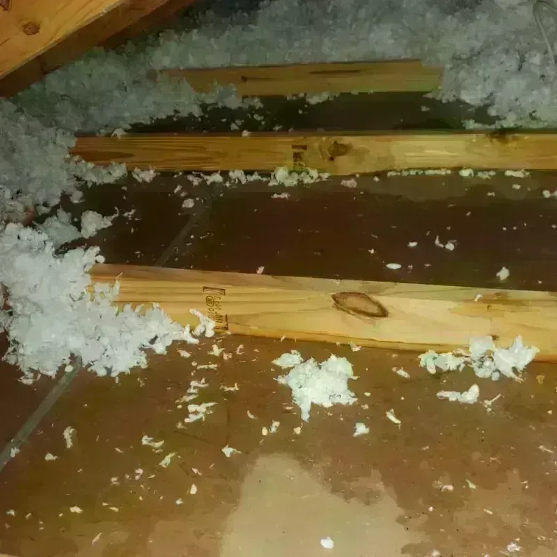 Attic Water Damage in Newport East, RI